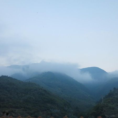 Rustic Liguria Βίλα Ceriana Εξωτερικό φωτογραφία