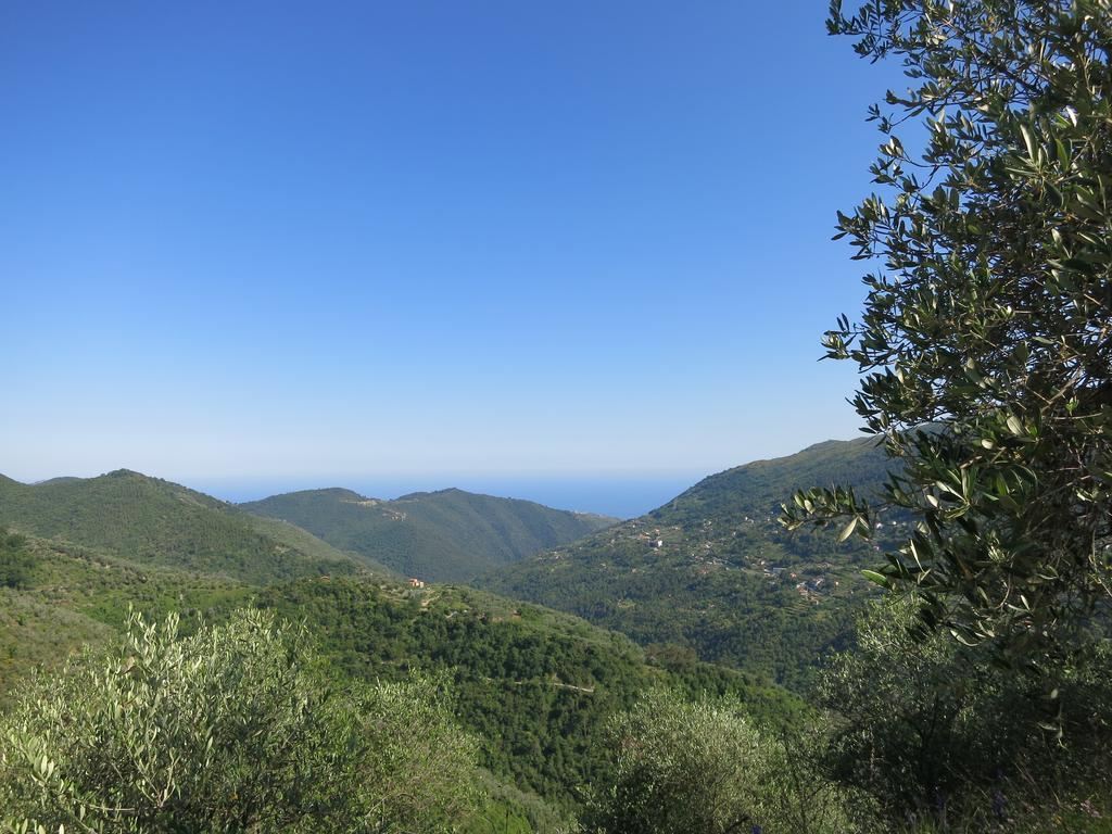 Rustic Liguria Βίλα Ceriana Εξωτερικό φωτογραφία